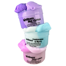 Load image into Gallery viewer, Wellness Slime Range