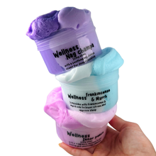Load image into Gallery viewer, Wellness Slime Range