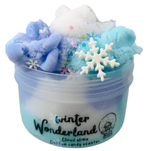 Load image into Gallery viewer, Winter Wonderland