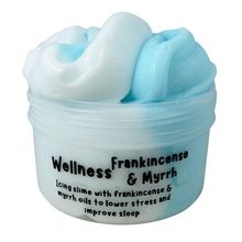 Load image into Gallery viewer, Wellness Slime Range