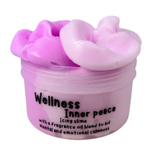 Load image into Gallery viewer, Wellness Slime Range