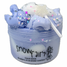 Load image into Gallery viewer, Snow Fairy