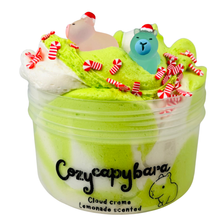 Load image into Gallery viewer, Cozy Capybara