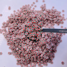 Load image into Gallery viewer, Red &amp; green peppermint sprinkle for slime 5g